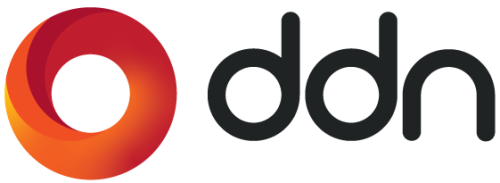 DDN logo